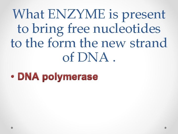What ENZYME is present to bring free nucleotides to the form the new strand