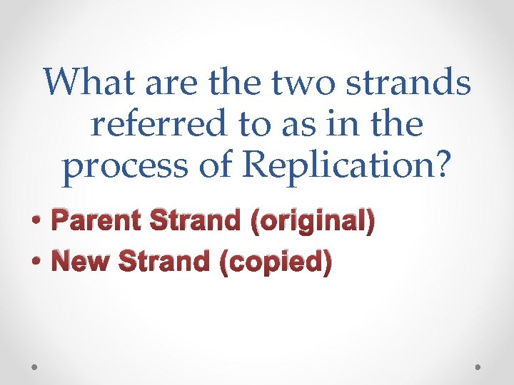 What are the two strands referred to as in the process of Replication? •