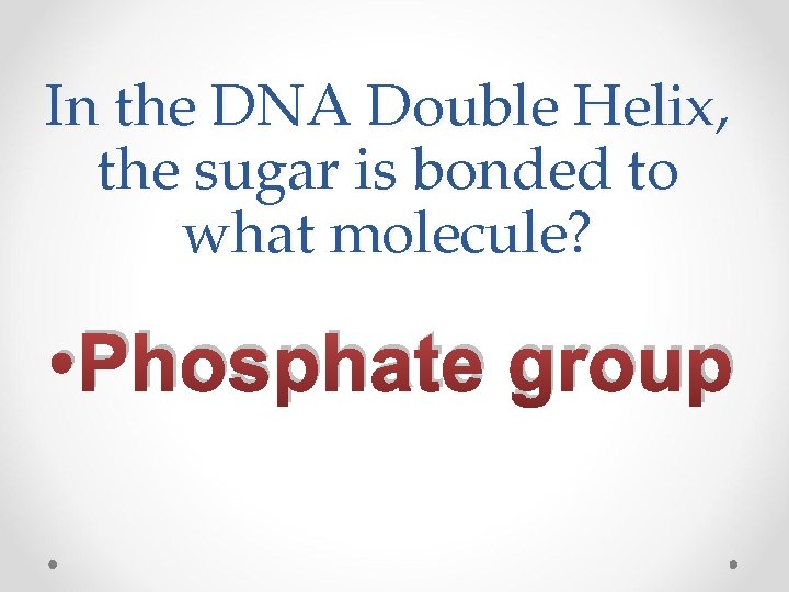 In the DNA Double Helix, the sugar is bonded to what molecule? • Phosphate