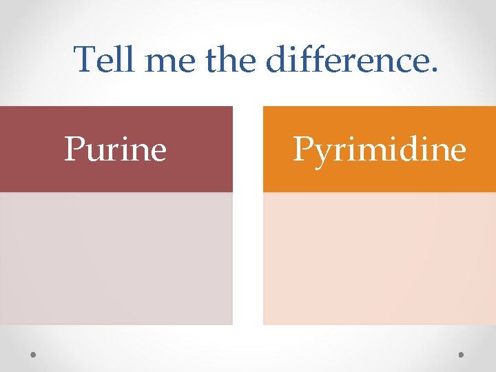 Tell me the difference. Purine Pyrimidine 