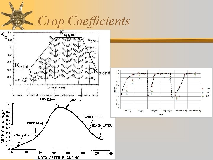Crop Coefficients 