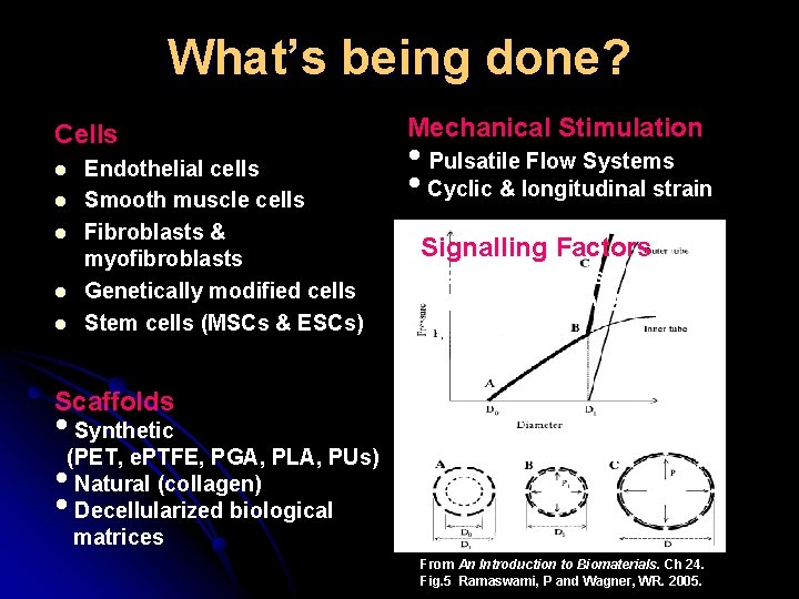 What’s being done? Cells l l l Endothelial cells Smooth muscle cells Fibroblasts & What’s being done? Cells l l l Endothelial cells Smooth muscle cells Fibroblasts &