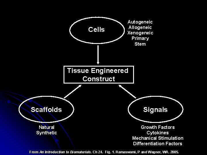 Cells Autogeneic Allogeneic Xenogeneic Primary Stem Tissue Engineered Construct Scaffolds Natural Synthetic Signals Growth Cells Autogeneic Allogeneic Xenogeneic Primary Stem Tissue Engineered Construct Scaffolds Natural Synthetic Signals Growth