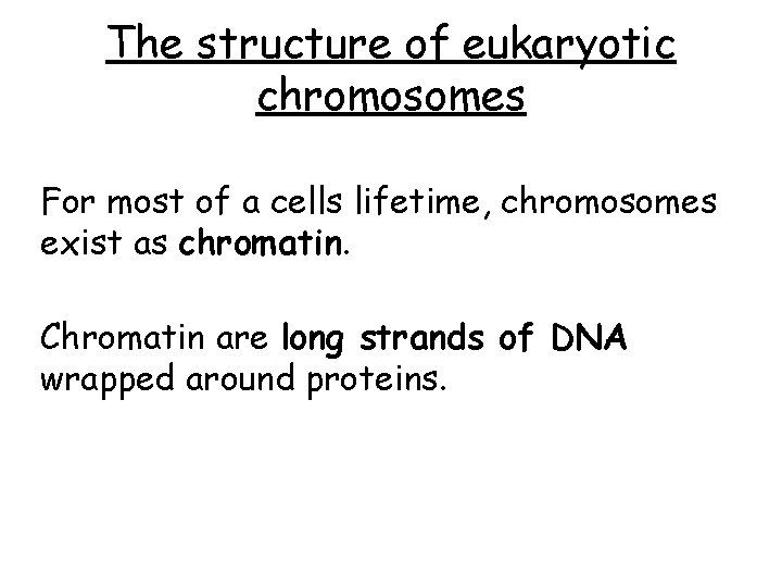 The structure of eukaryotic chromosomes For most of a cells lifetime, chromosomes exist as The structure of eukaryotic chromosomes For most of a cells lifetime, chromosomes exist as