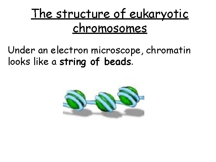 The structure of eukaryotic chromosomes Under an electron microscope, chromatin looks like a string The structure of eukaryotic chromosomes Under an electron microscope, chromatin looks like a string