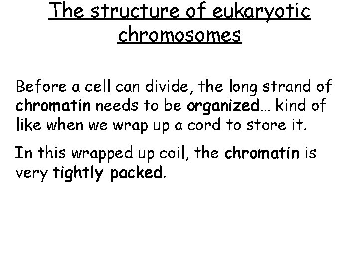 The structure of eukaryotic chromosomes Before a cell can divide, the long strand of The structure of eukaryotic chromosomes Before a cell can divide, the long strand of