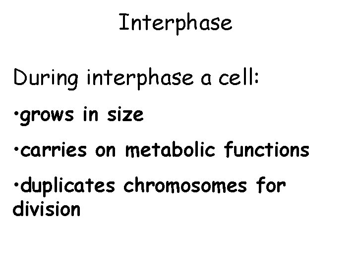 Interphase During interphase a cell: • grows in size • carries on metabolic functions Interphase During interphase a cell: • grows in size • carries on metabolic functions