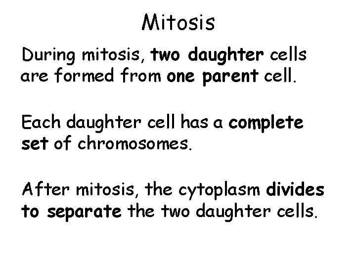 Mitosis During mitosis, two daughter cells are formed from one parent cell. Each daughter Mitosis During mitosis, two daughter cells are formed from one parent cell. Each daughter