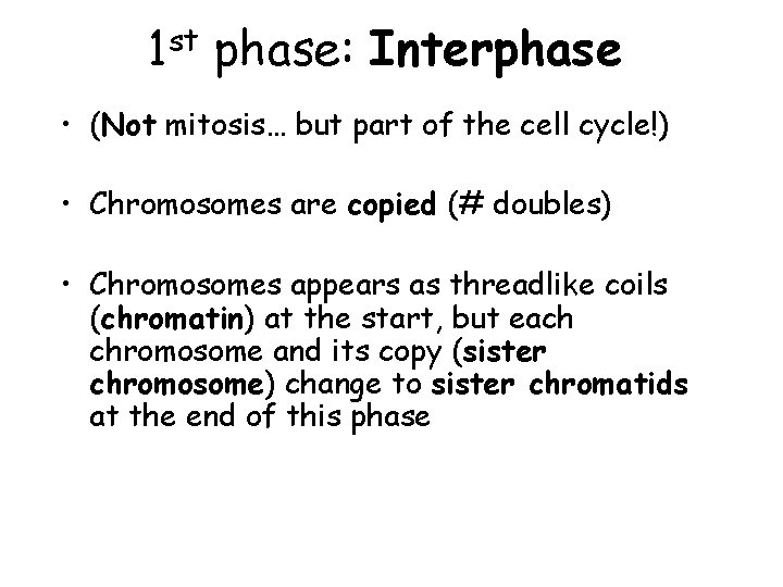 st 1 phase: Interphase • (Not mitosis… but part of the cell cycle!) • st 1 phase: Interphase • (Not mitosis… but part of the cell cycle!) •