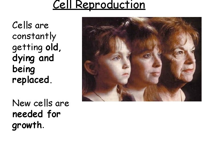 Cell Reproduction Cells are constantly getting old, dying and being replaced. New cells are Cell Reproduction Cells are constantly getting old, dying and being replaced. New cells are