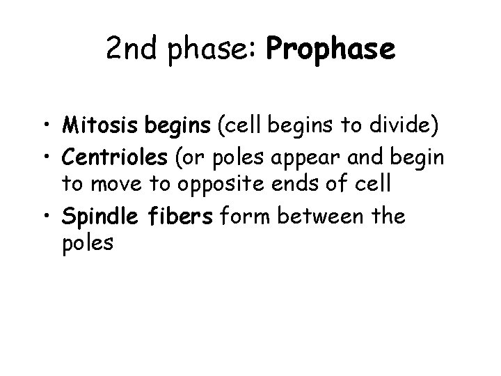 2 nd phase: Prophase • Mitosis begins (cell begins to divide) • Centrioles (or 2 nd phase: Prophase • Mitosis begins (cell begins to divide) • Centrioles (or
