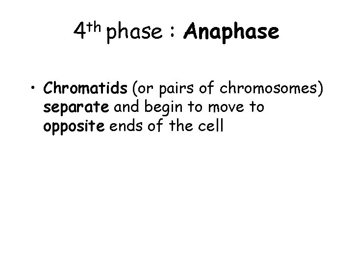 4 th phase : Anaphase • Chromatids (or pairs of chromosomes) separate and begin 4 th phase : Anaphase • Chromatids (or pairs of chromosomes) separate and begin