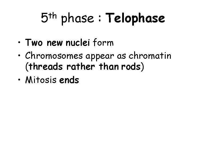 5 th phase : Telophase • Two new nuclei form • Chromosomes appear as 5 th phase : Telophase • Two new nuclei form • Chromosomes appear as