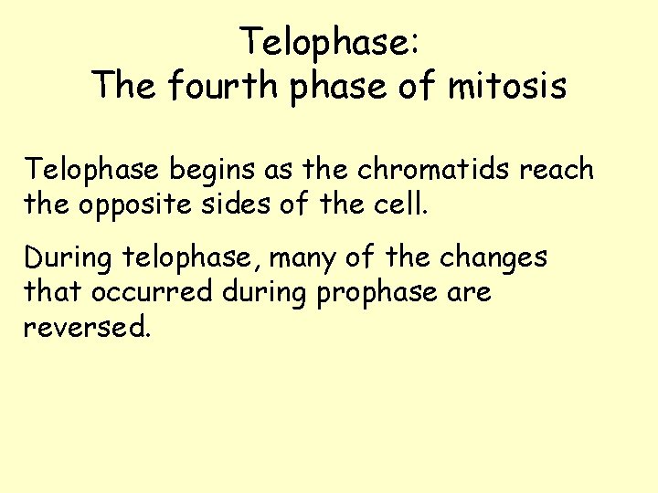 Telophase: The fourth phase of mitosis Telophase begins as the chromatids reach the opposite Telophase: The fourth phase of mitosis Telophase begins as the chromatids reach the opposite