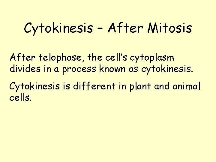 Cytokinesis – After Mitosis After telophase, the cell’s cytoplasm divides in a process known Cytokinesis – After Mitosis After telophase, the cell’s cytoplasm divides in a process known