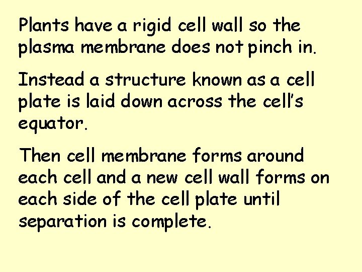 Plants have a rigid cell wall so the plasma membrane does not pinch in. Plants have a rigid cell wall so the plasma membrane does not pinch in.