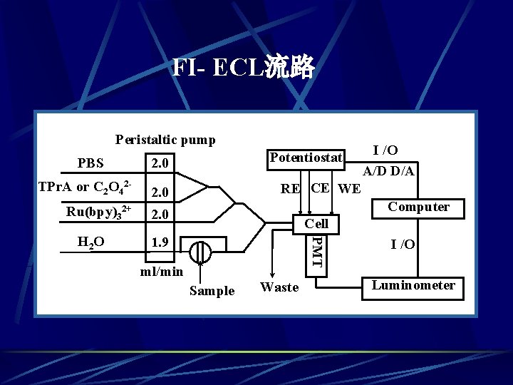 FI- ECL流路 Peristaltic pump PBS 2. 0 TPr. A or C 2 O 42