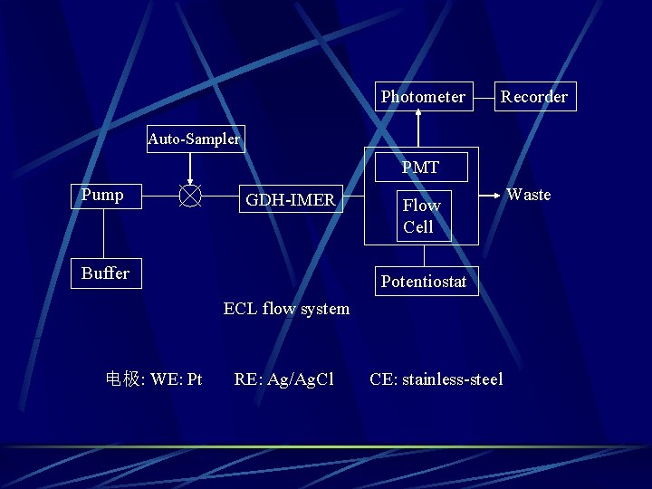 Photometer Recorder Auto-Sampler PMT Pump GDH-IMER Buffer Flow Cell Potentiostat ECL flow system 电极: