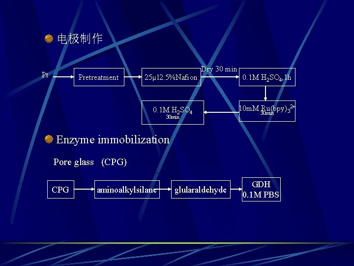  电极制作 Pt Pretreatment 25µl 2. 5%Nafion Dry 30 min 0. 1 M H