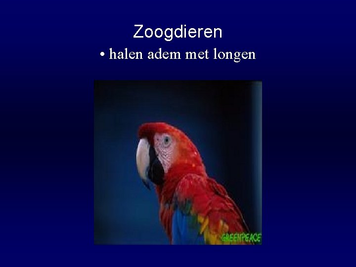 Zoogdieren • halen adem met longen 