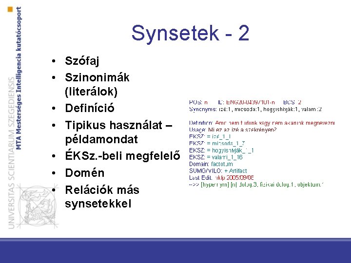 Synsetek - 2 • Szófaj • Szinonimák (literálok) • Definíció • Tipikus használat –