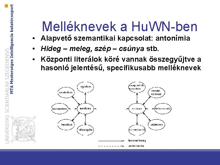 Melléknevek a Hu. WN-ben • Alapvető szemantikai kapcsolat: antonímia • Hideg – meleg, szép Melléknevek a Hu. WN-ben • Alapvető szemantikai kapcsolat: antonímia • Hideg – meleg, szép