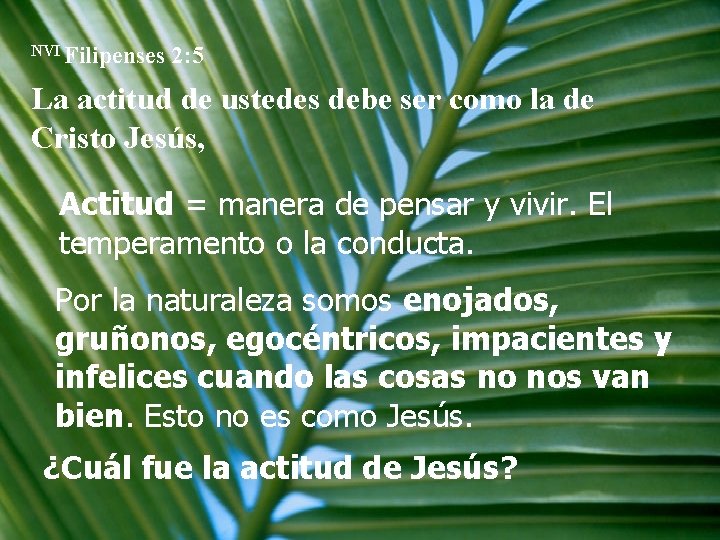 NVI Filipenses 2: 5 La actitud de ustedes debe ser como la de Cristo