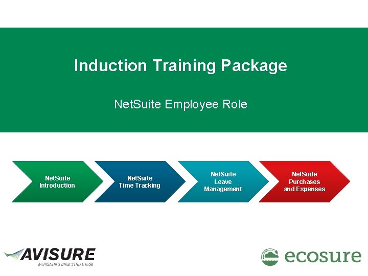 Induction Training Package Net. Suite Employee Role Net. Suite Introduction Net. Suite Time Tracking