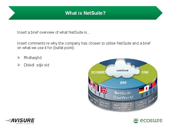 What is Net. Suite? Insert a brief overview of what Net. Suite is. .