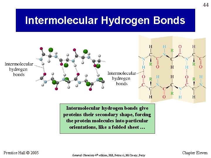 44 Intermolecular Hydrogen Bonds Intermolecular hydrogen bonds give proteins their secondary shape, forcing the 44 Intermolecular Hydrogen Bonds Intermolecular hydrogen bonds give proteins their secondary shape, forcing the