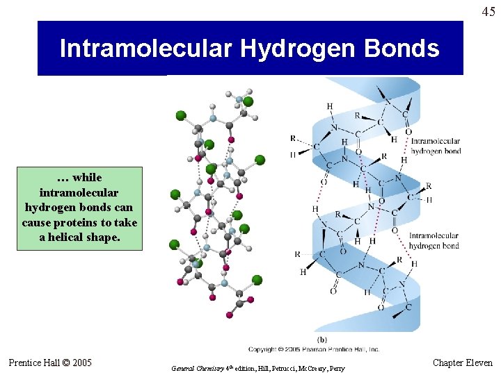 45 Intramolecular Hydrogen Bonds … while intramolecular hydrogen bonds can cause proteins to take 45 Intramolecular Hydrogen Bonds … while intramolecular hydrogen bonds can cause proteins to take