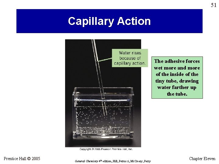 51 Capillary Action The adhesive forces wet more and more of the inside of 51 Capillary Action The adhesive forces wet more and more of the inside of