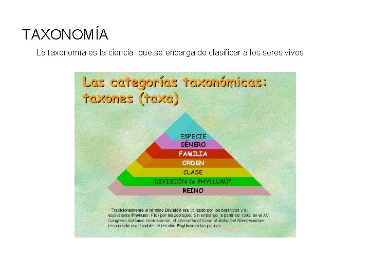 TAXONOMÍA La taxonomía es la ciencia que se encarga de clasificar a los seres