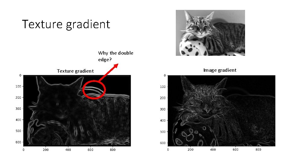 Texture gradient Why the double edge? Texture gradient Image gradient 