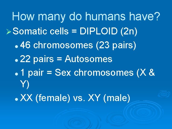 How many do humans have? Ø Somatic cells = DIPLOID (2 n) 46 chromosomes