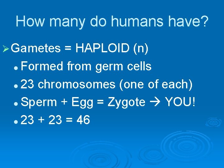 How many do humans have? Ø Gametes = HAPLOID (n) Formed from germ cells