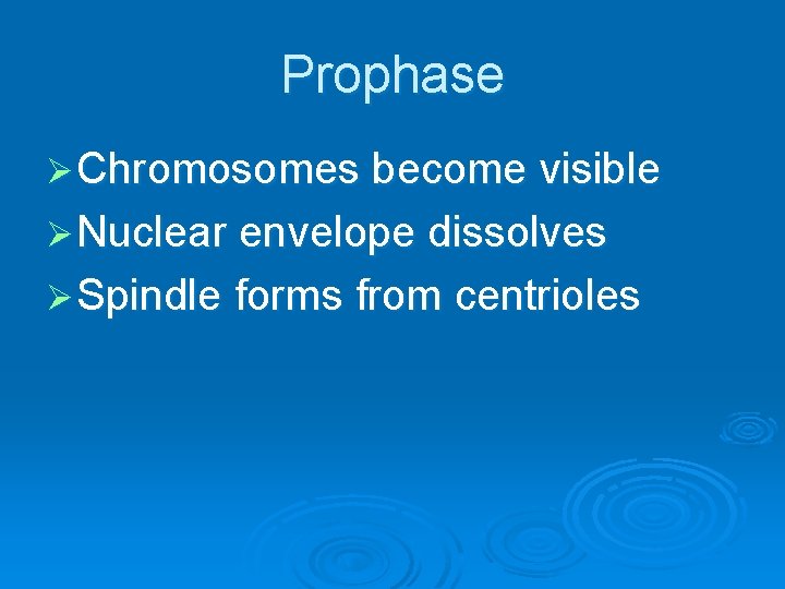 Prophase Ø Chromosomes become visible Ø Nuclear envelope dissolves Ø Spindle forms from centrioles