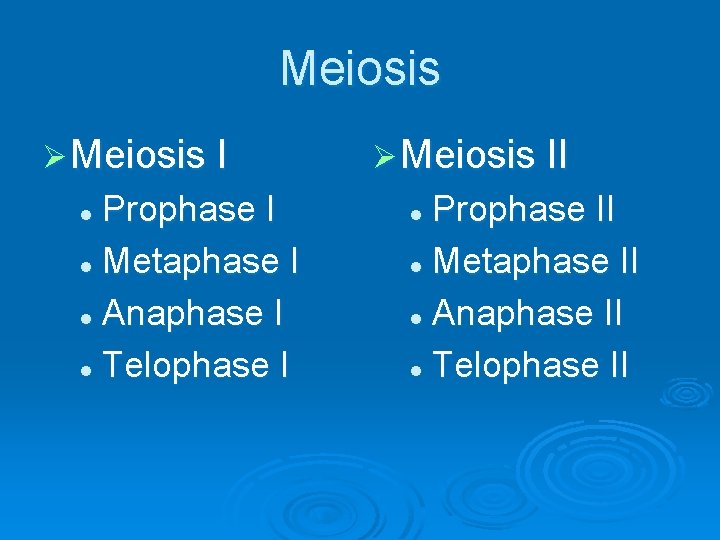 Meiosis Ø Meiosis I Prophase I l Metaphase I l Anaphase I l Telophase