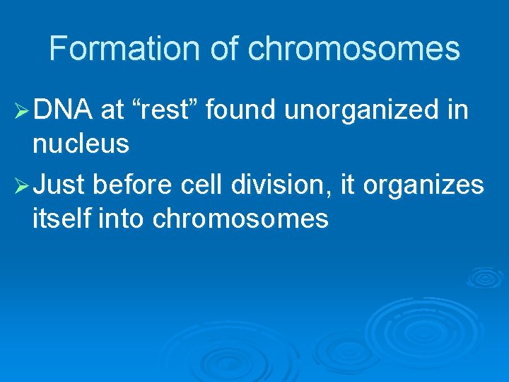 Formation of chromosomes Ø DNA at “rest” found unorganized in nucleus Ø Just before