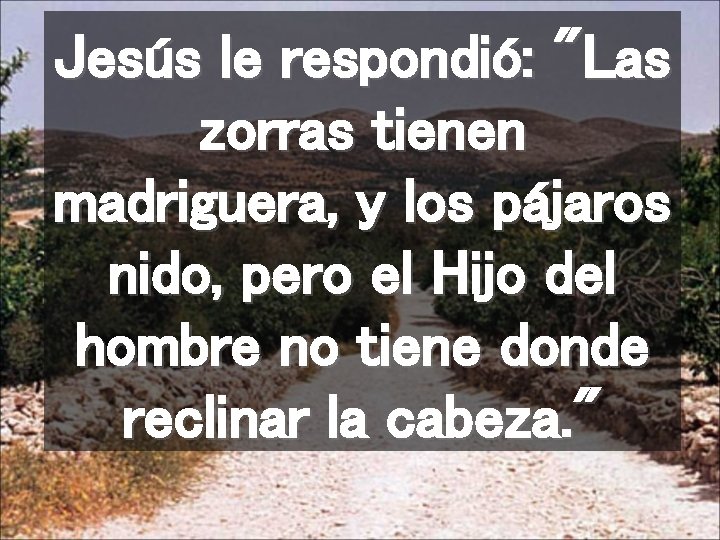 Jesús le respondió: "Las zorras tienen madriguera, y los pájaros nido, pero el Hijo