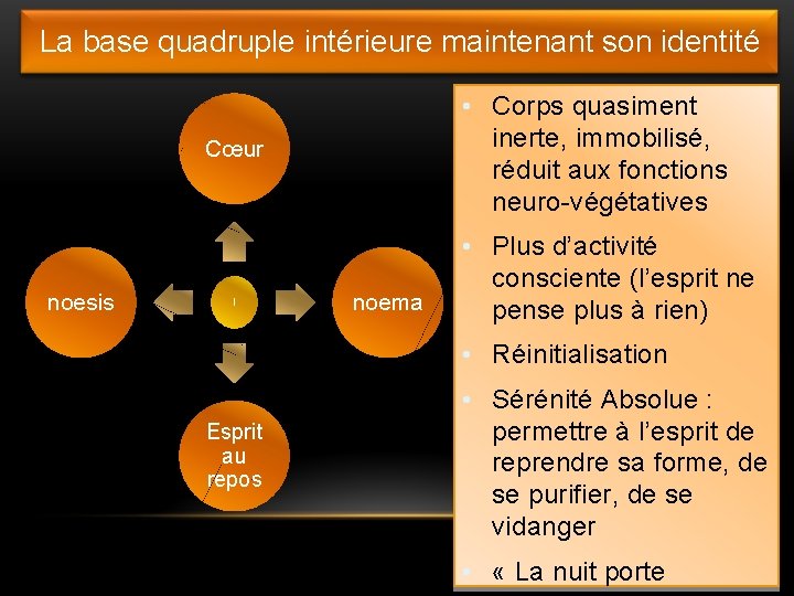 La base quadruple intérieure maintenant son identité • Corps quasiment inerte, immobilisé, réduit aux