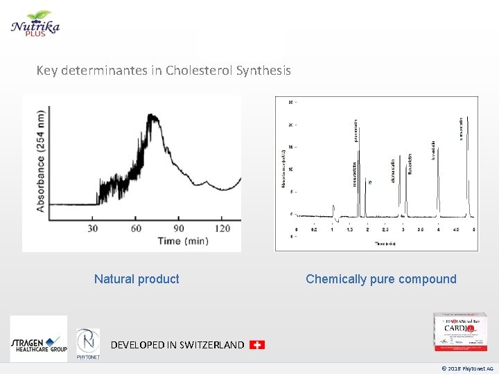 Key determinantes in Cholesterol Synthesis Natural product Chemically pure compound DEVELOPED IN SWITZERLAND ©