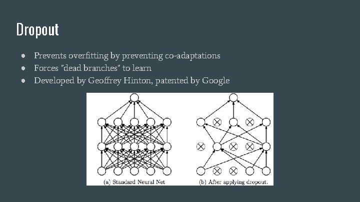 Dropout ● Prevents overfitting by preventing co-adaptations ● Forces "dead branches" to learn ●