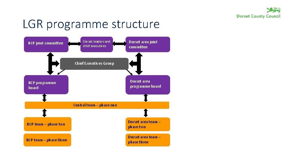 LGR programme structure BCP joint committee Dorset leaders and chief executives Dorset area joint