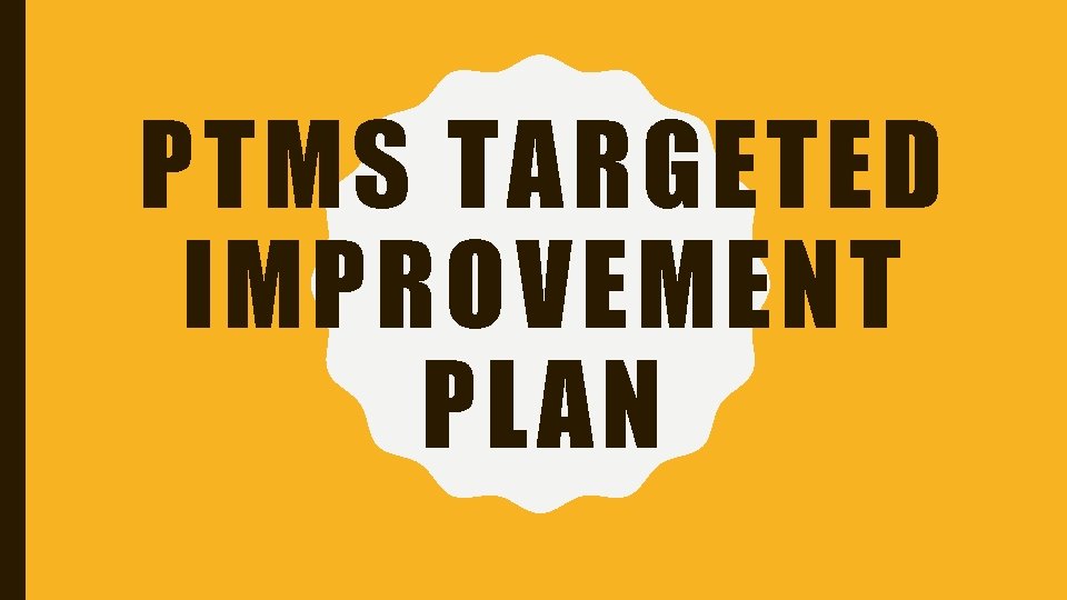 PTMS TARGETED IMPROVEMENT PLAN 