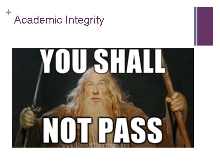 + Academic Integrity + Academic Integrity