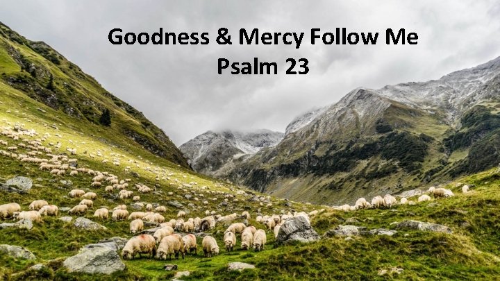 Goodness & Mercy Follow Me Psalm 23 