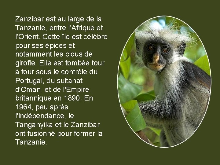 Zanzibar est au large de la Tanzanie, entre l’Afrique et l’Orient. Cette île est