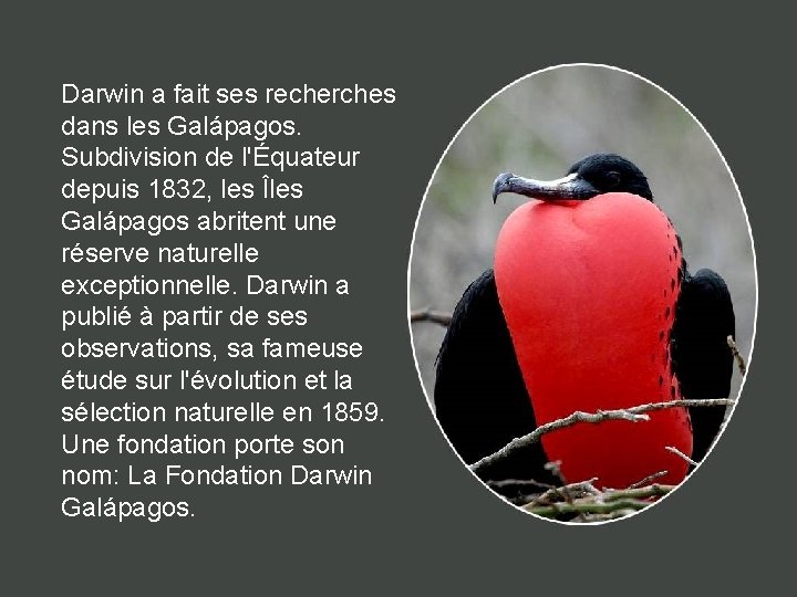 Darwin a fait ses recherches dans les Galápagos. Subdivision de l'Équateur depuis 1832, les