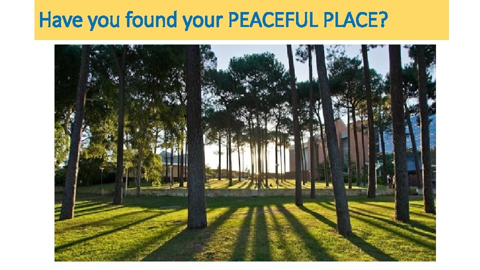 Have you found your PEACEFUL PLACE? Have you found your PEACEFUL PLACE?